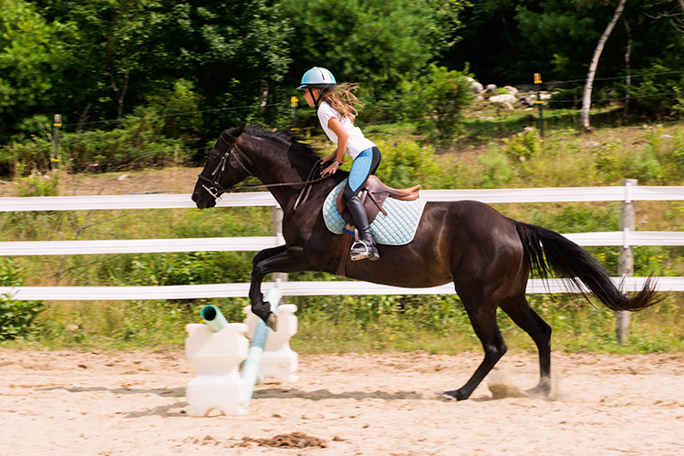 equestrian