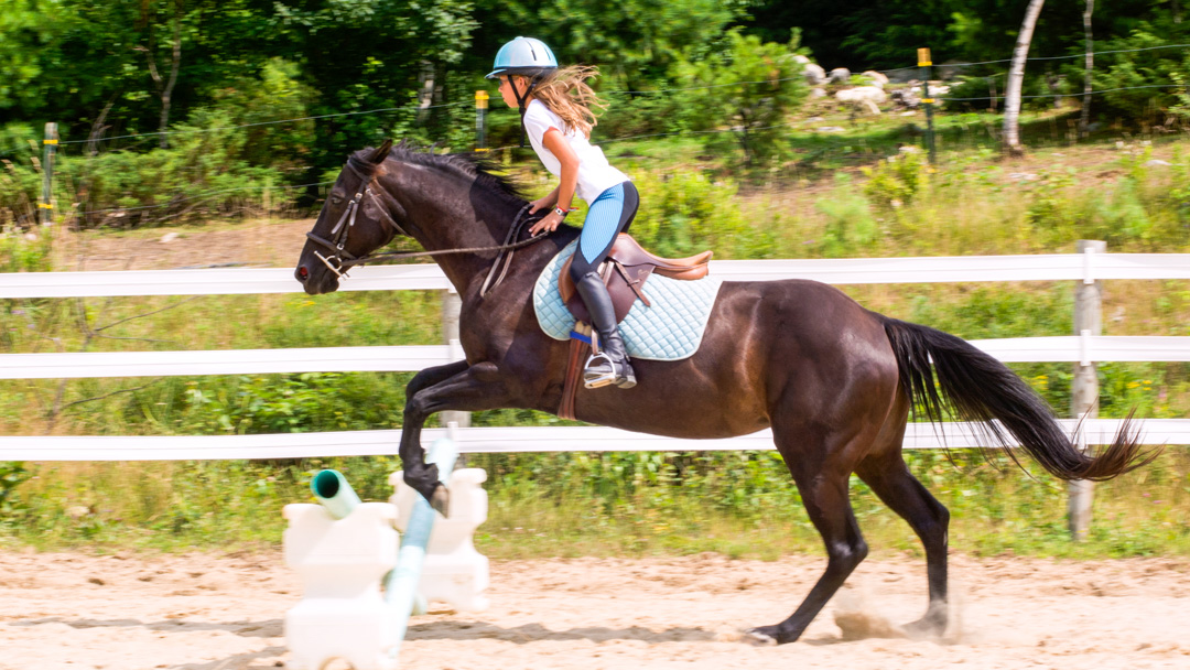 Girl jumping over an obstacle on a horse