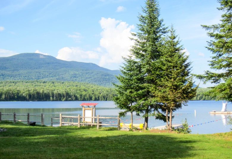 Waterfront through pine trees at Moose River Outpost