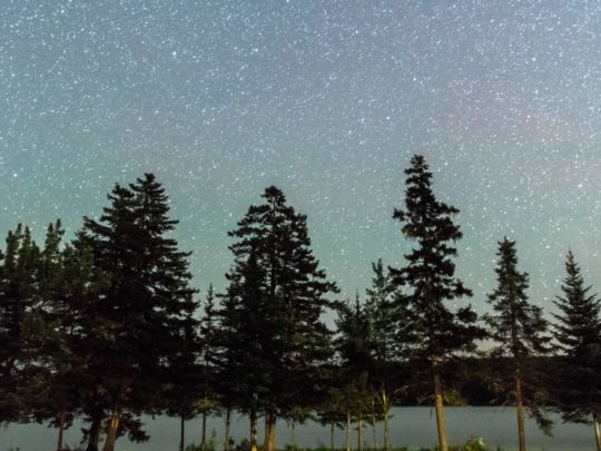 Stars at night at the Moose River Outpost